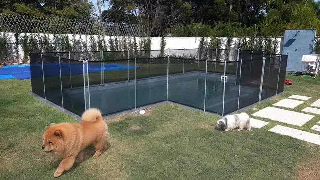 Proteção para piscina para crianças e pets