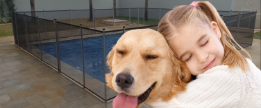 Cachorro corre atrás de algo e cai na piscina
